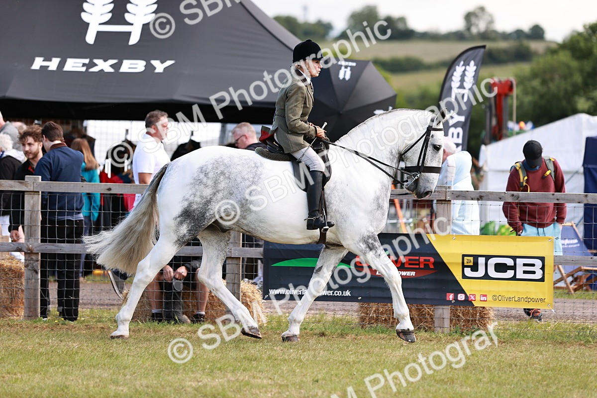 SBM_13995 - Class 85-87 - RIHS Cobs