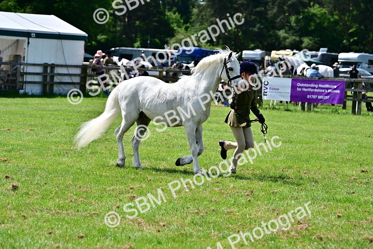 SBM_03898 - Class 58 - TSR  Ridden Veteran Amateur of the year