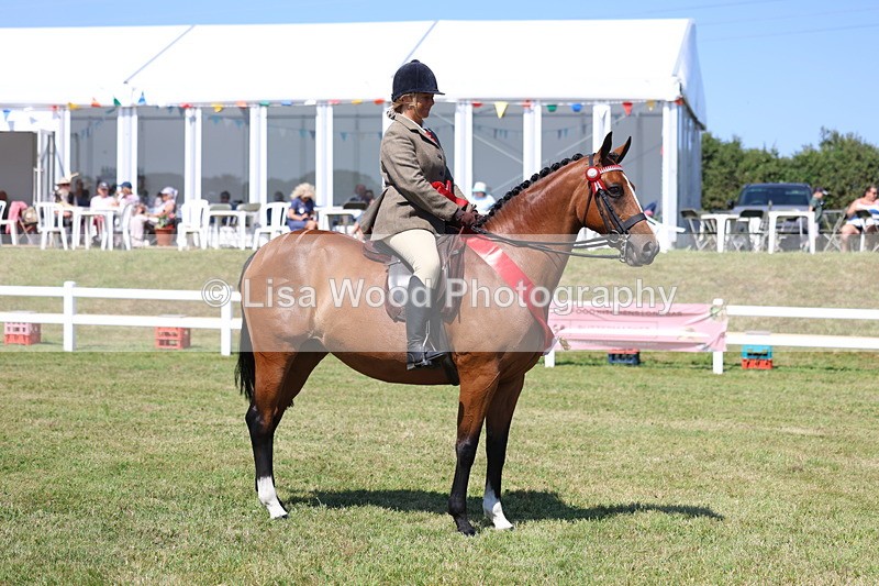 3E7A7605 - Rising Star Ridden Championship