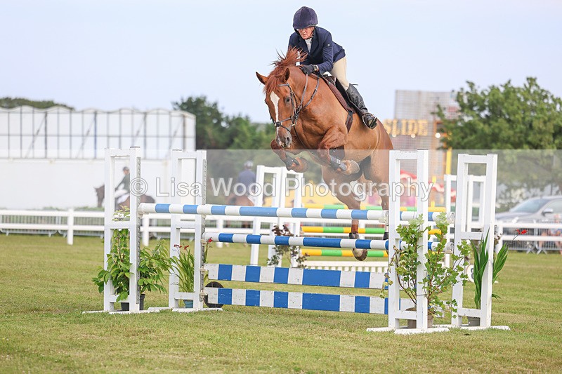 3E7A0858 - Class C: Showjumping Senior Foxhunter