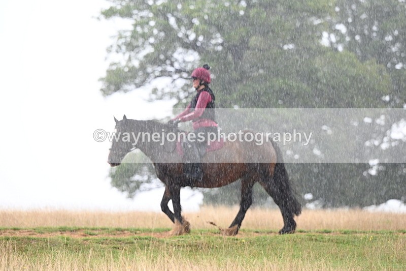 DSC_2947 - Time at Statue 12:59 to 13:49