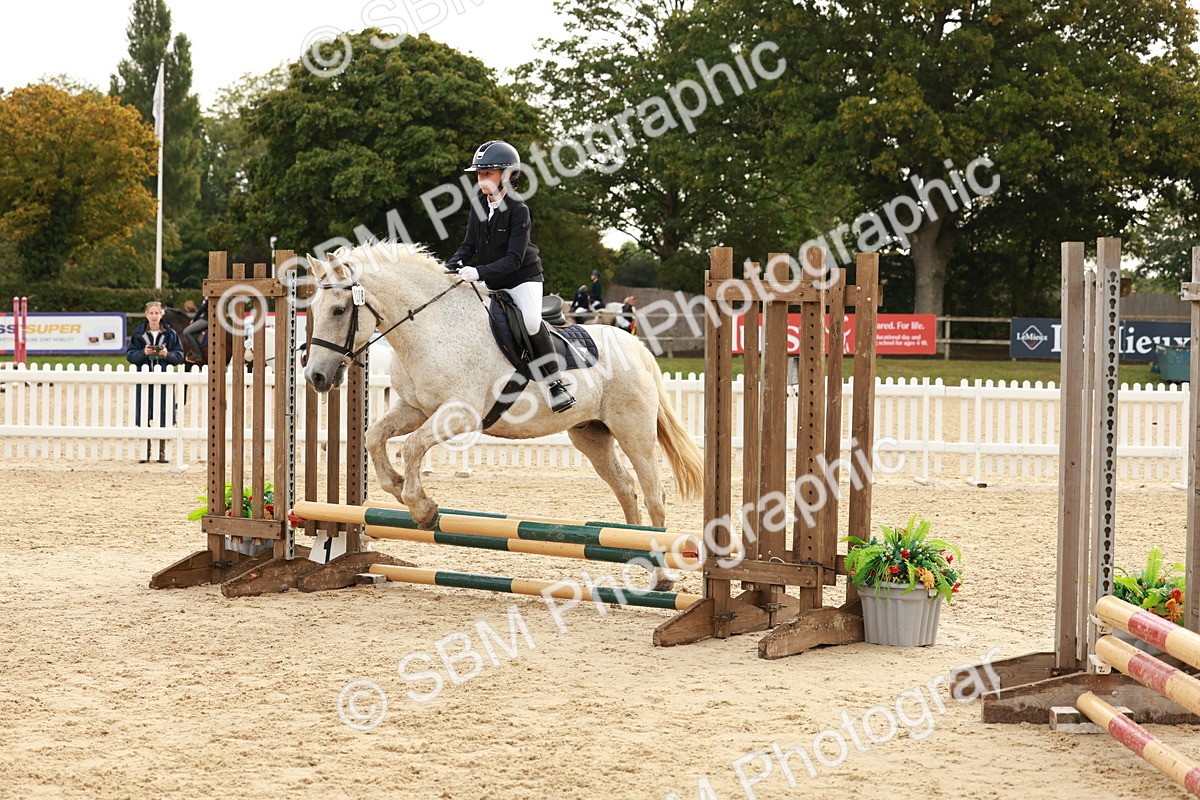 SBM_57703 - J11 - Junior Pony 50cm Championship