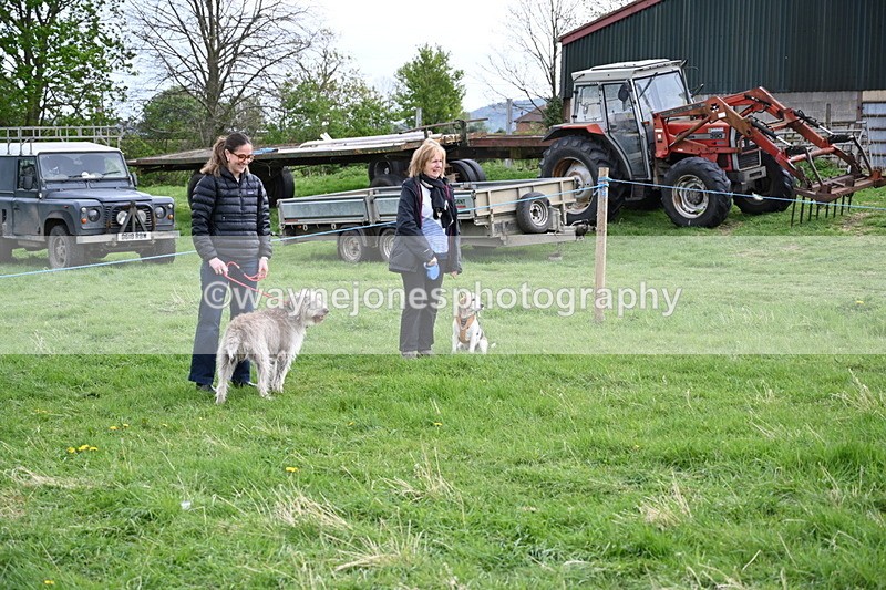 WJ6_8026 - Class 2 Best Pedigree