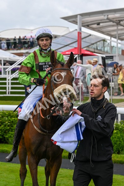 150624-Race 2-Tolstoy-6931 - Race 2 2.25pm Sky Bet Proud To Support Macmillan Handicap