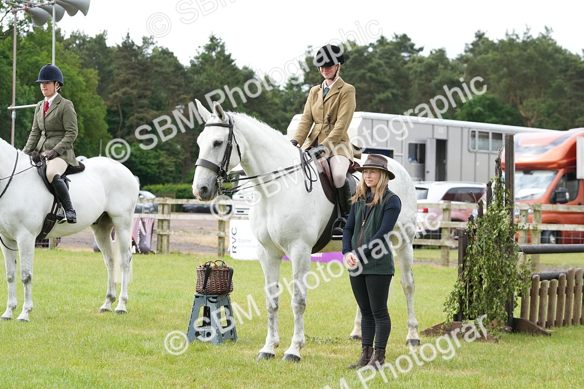 SBM_12778 - Class 97-98 - LIHS BSHA Rising Star Working Show Horse Hunter
