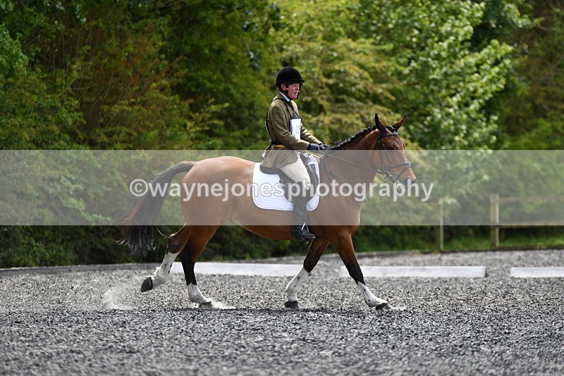 WJ5_0949 - Time 13:04 to 13:42