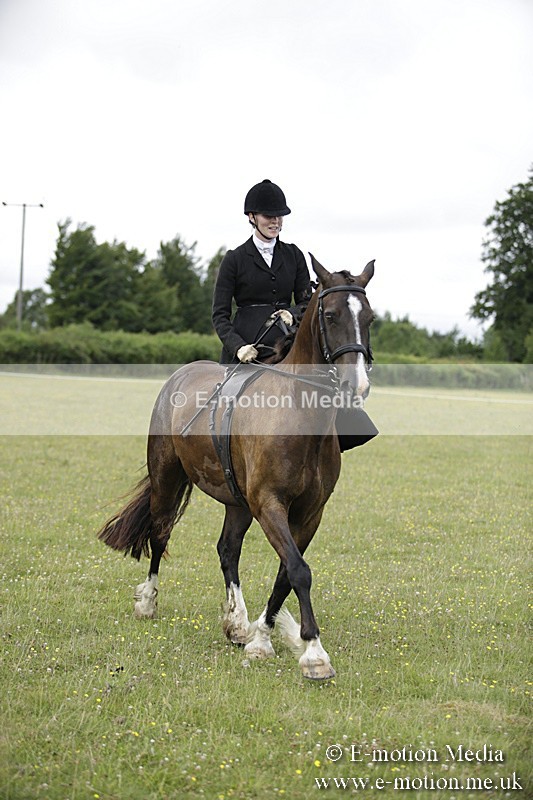 BVR160717-1938 - Side Saddle Classes 16/07/17