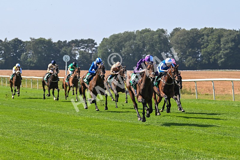 300824-Race 1-Tuscan Hills-5599 - Race 1