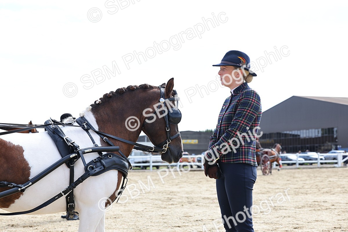 SBM_000920 - Class 8 - Novice Horse or Pony to any vehicle