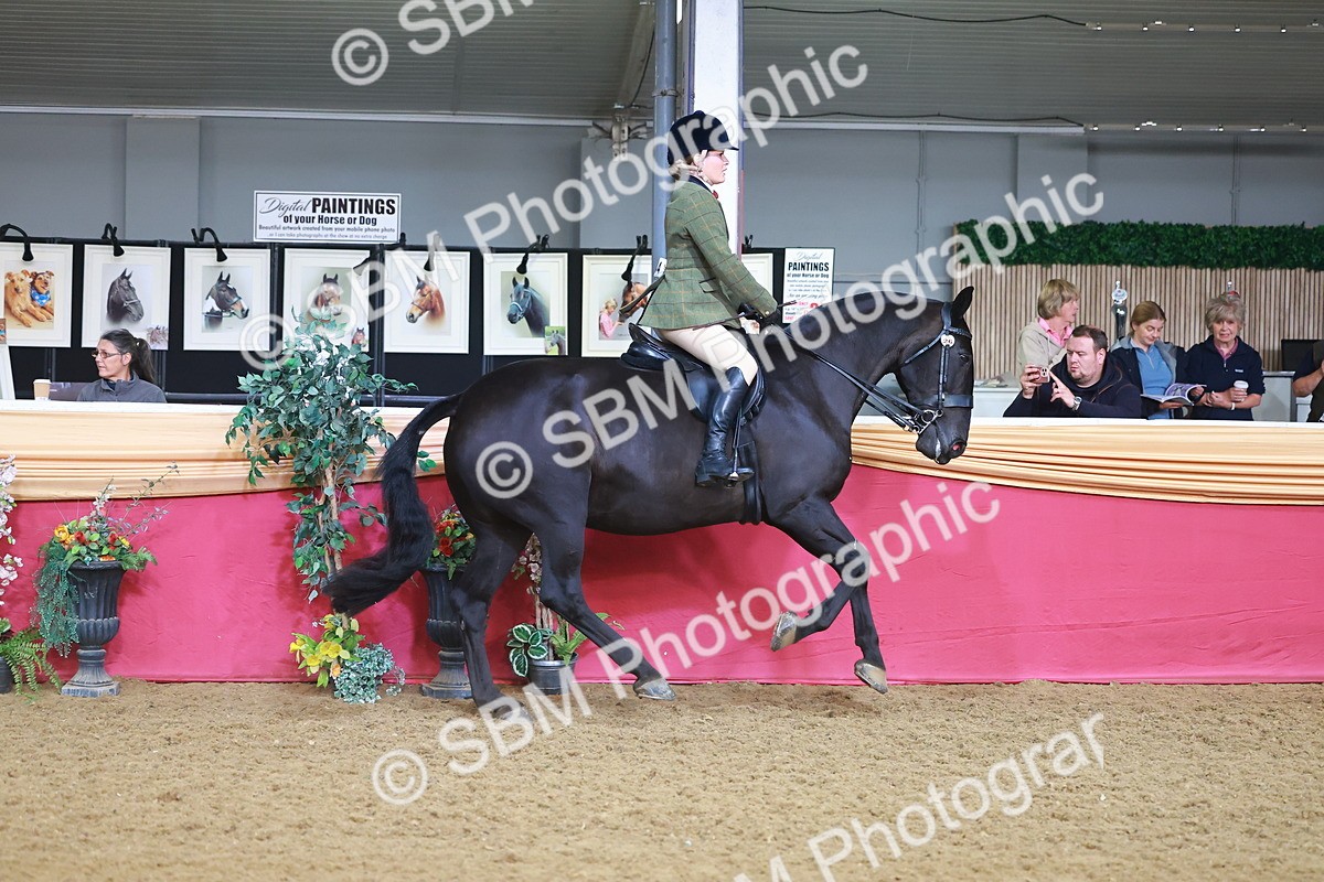 SBM_07628 - Class 101 - HOYS Veteran Qualifier - Ridden Diamond