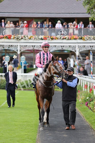 yr19082021r7-28 - Race 7 5.20pm British Stallion Studs EBF Fillies' Stakes