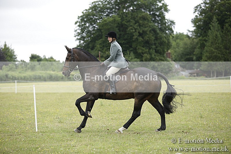 BVR160717-1529 - Ring 1 BVRC Show 16/07/17