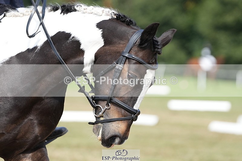 250823A-144615-32156 - PC70 Ride Off