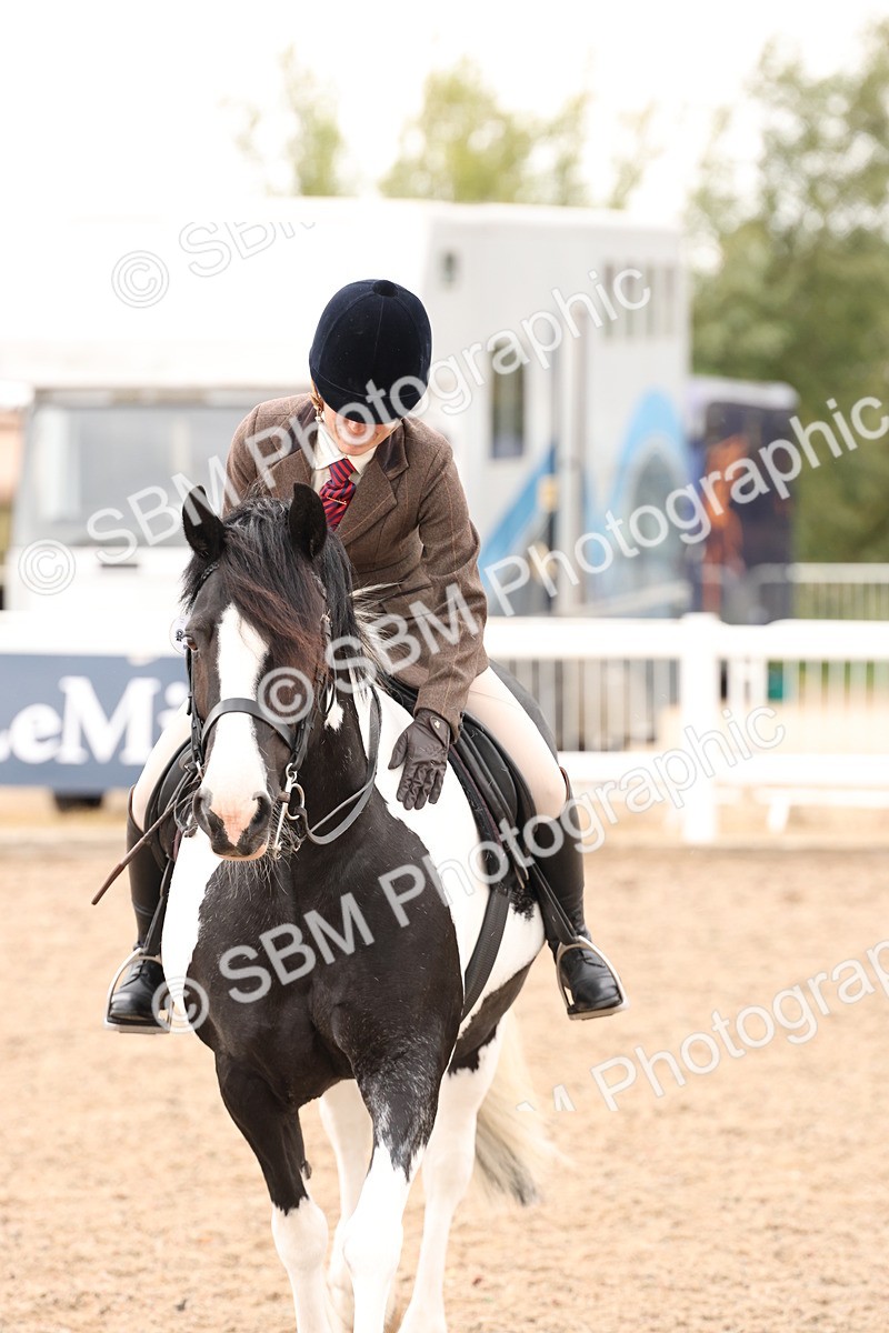 SBM_19727 - Class 216 - Ridden Traditional - Native Cob