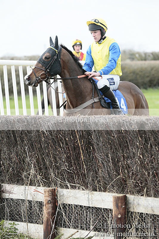 PtP 230319 210 - VWH Hunt Siddington Point-to-Point Racing 23/03/19