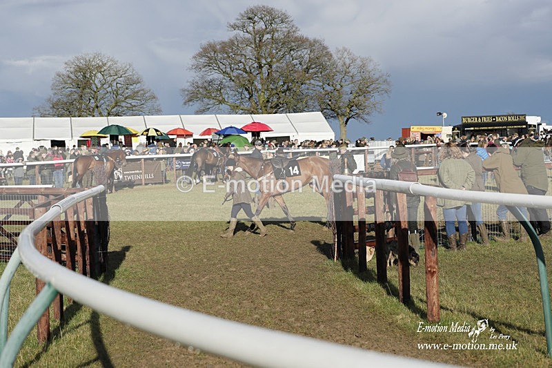 PtP 180323 1364 - Shelfield Park Races with Croome & West Warwickshire Hunt  18/03/23