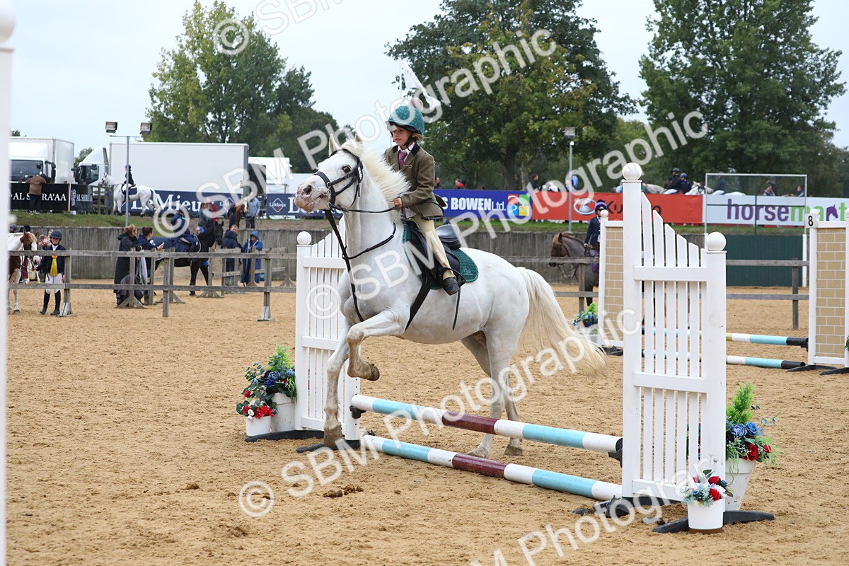 SBM_71980 - J3b - Mini Tour Junior Pony 40cm Championship