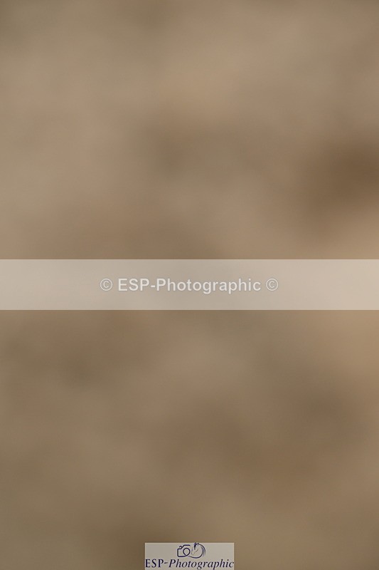 250719A-161249-08128 - Saturday Presentations