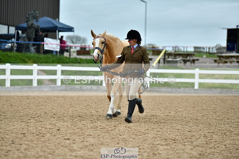 230416A-135328-04964 - Cls 60 Ridden Show Horse