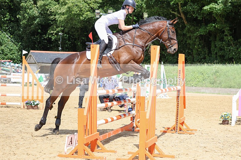 3E7A7373 - Class 8: Senior Newcomers/1.10m open