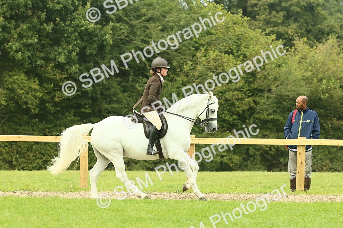 SBM_71902 - S60 - Mountain & Moorland Ridden Large Breeds
