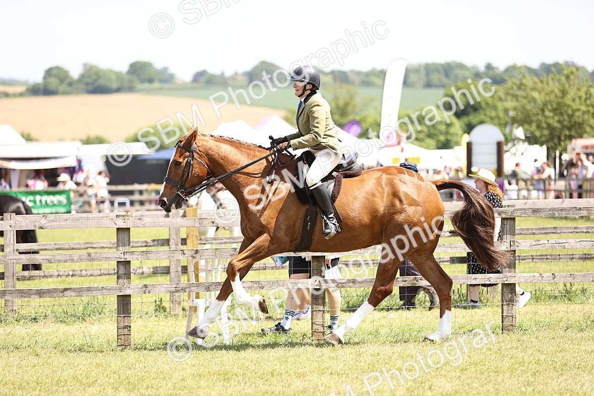 SBM_15120 - Class 79-80 - LIHS BSHA Rising Star Ridden Hunter