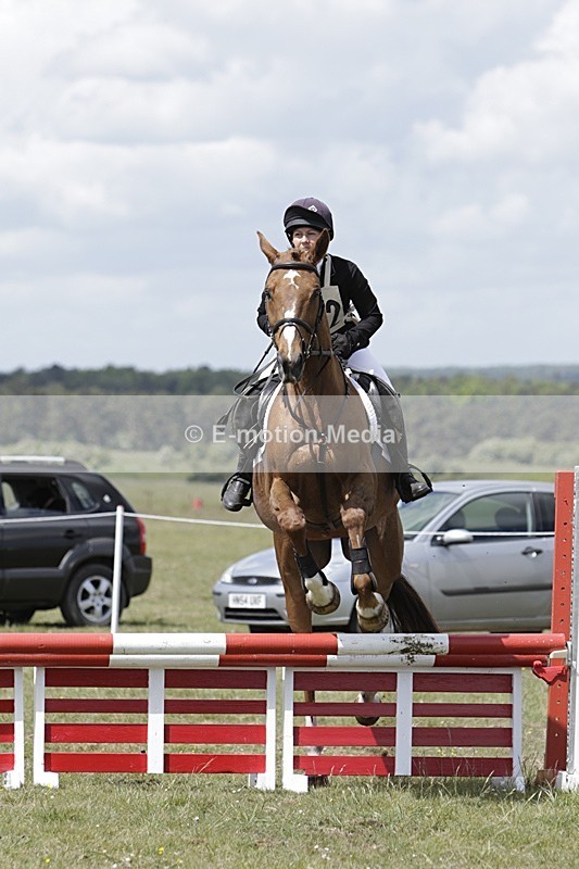 BVHT 140517 N-253 - Class 2 SJ Novice 14/05/17
