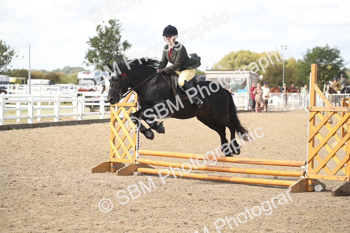 SBM_15162 - Class 505b - M&M Working Veteran - 50cm (20+)