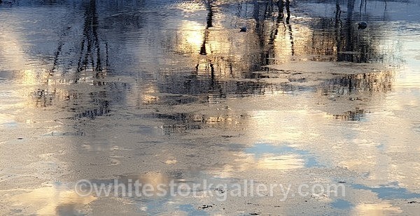  - NEW Winter Reflection