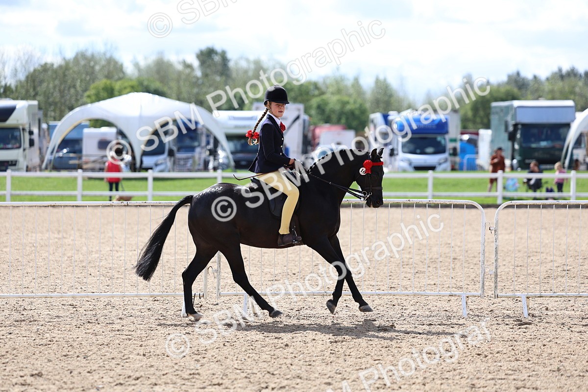SBM_13274 - Class 311 - Ridden Show Pony Show Hunter Pony