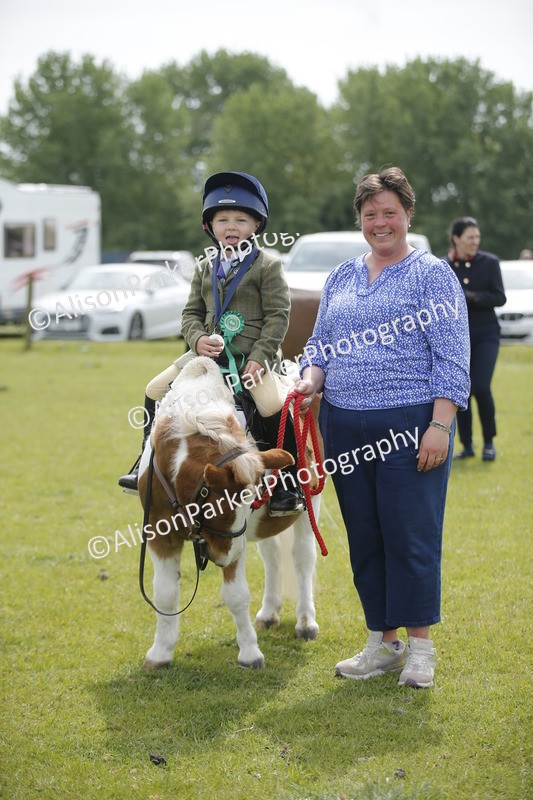 20260426-2177 - Class 9 - Handsomest Gelding