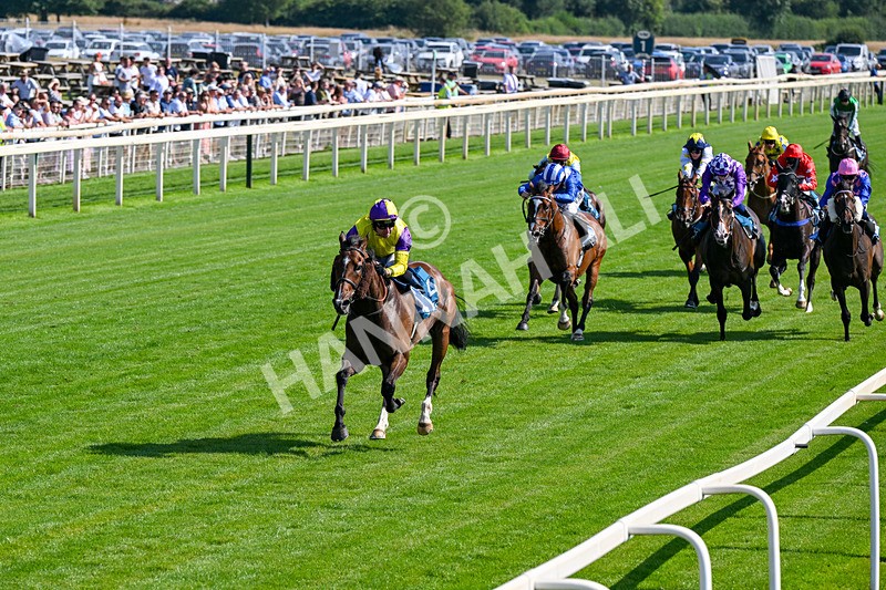 100726-Race 5-Dark Moon Rising-0343 - Race 5 16.30pm Azets Handicap