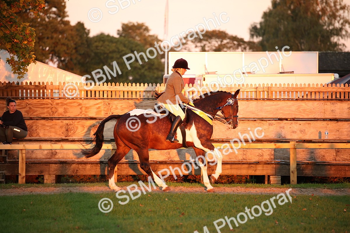 SBM_57096 - Super Supreme Championship