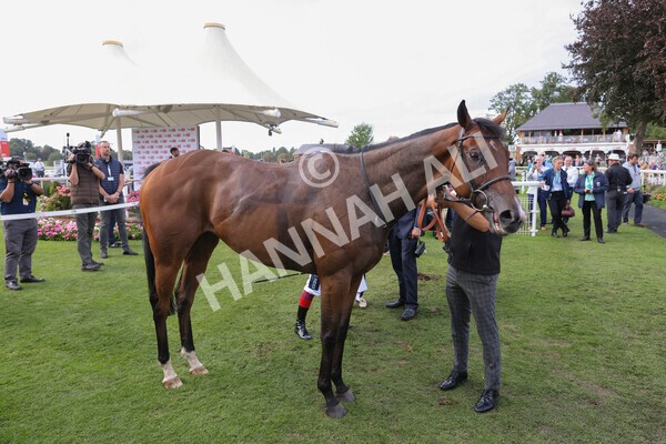 yr20082022r3-36 - Race 3 3.00pm Sky Bet City of York Stakes