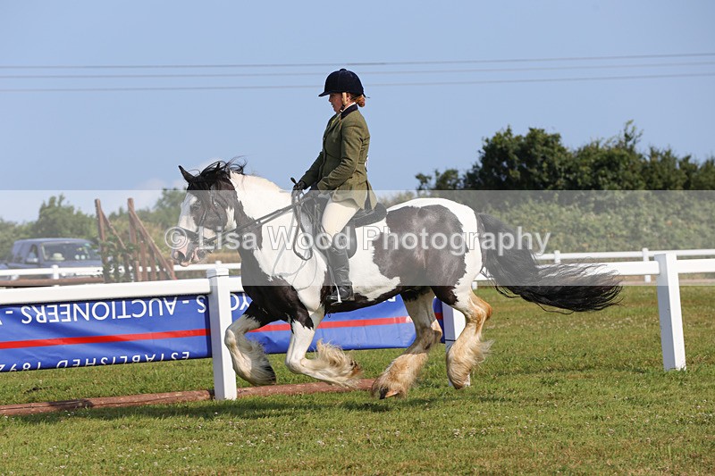 1X9A3360 - Class 28: Ridden Native/Trad Coloured Pony