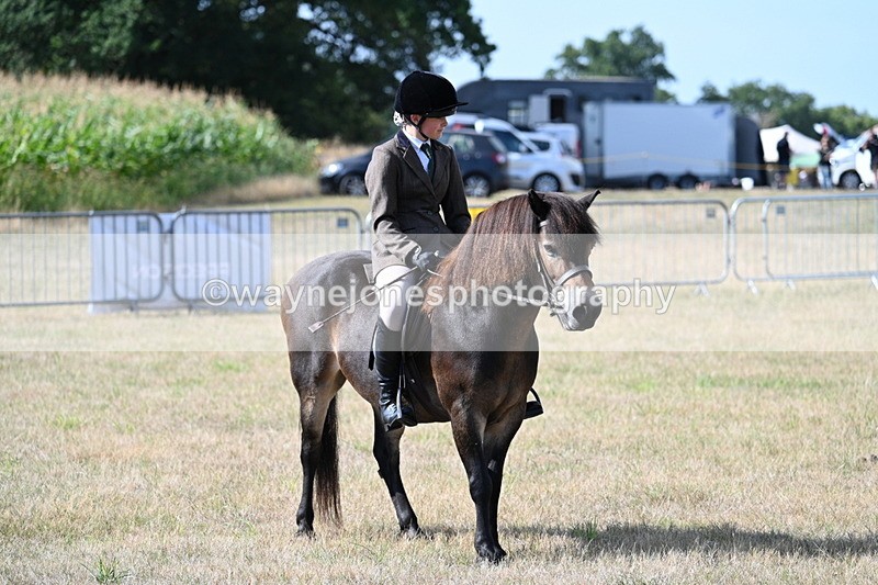 WJ7_2732 - Class 8 Ridden Tack & Turnout