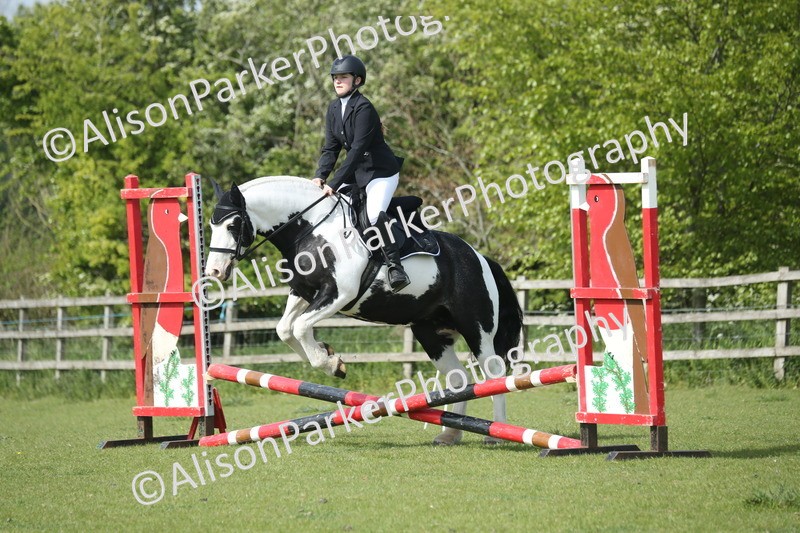 20260426-1458 - Class 14 - Novice 60cm