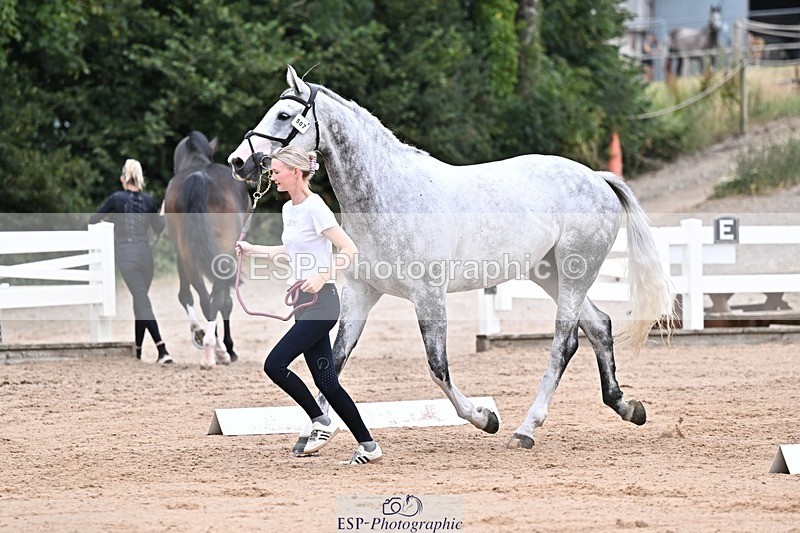 250716-133832-00608 - Trot Up 1.30 to 2.30