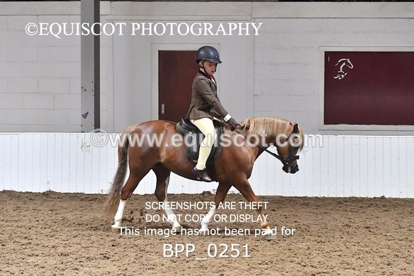 BPP_0251 - RING 1