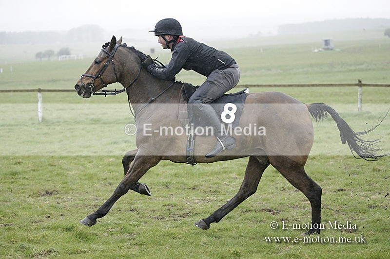 PtP 150320 0104 - New Forest Point-to-Point Larkhill 15/03/20