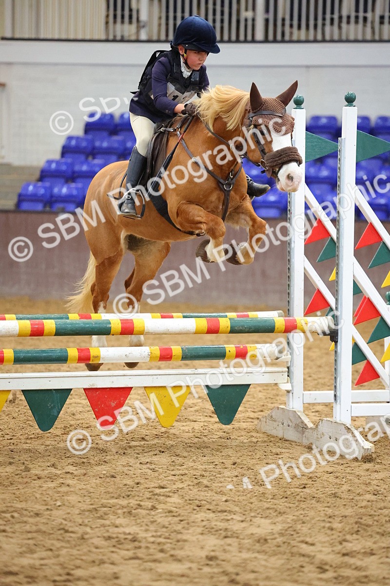 SBM_001804 - Class 5 - Show Jumping 80cm