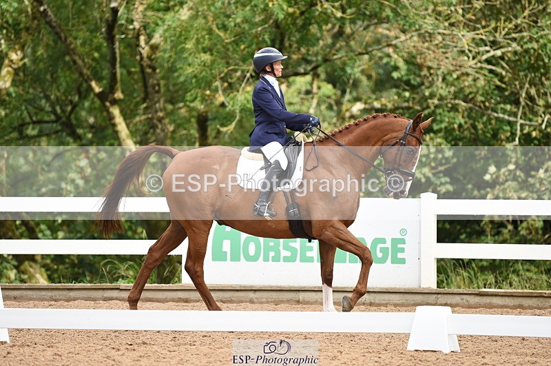 230912A-110832-00511 - Cls 7 Elementary 40