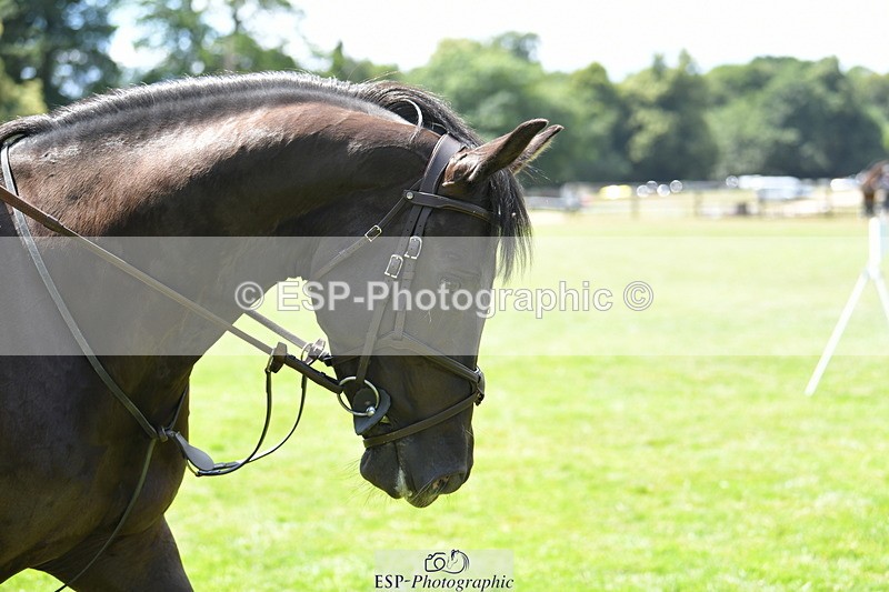 250703A-134138-01684 - Cls 13 Snr Newcomers