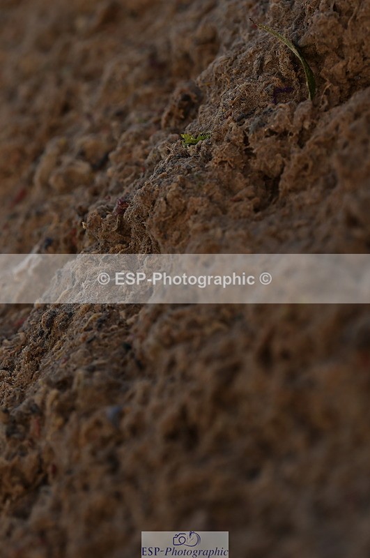 231104A-134726-01917 - Cls 10 Medium 61