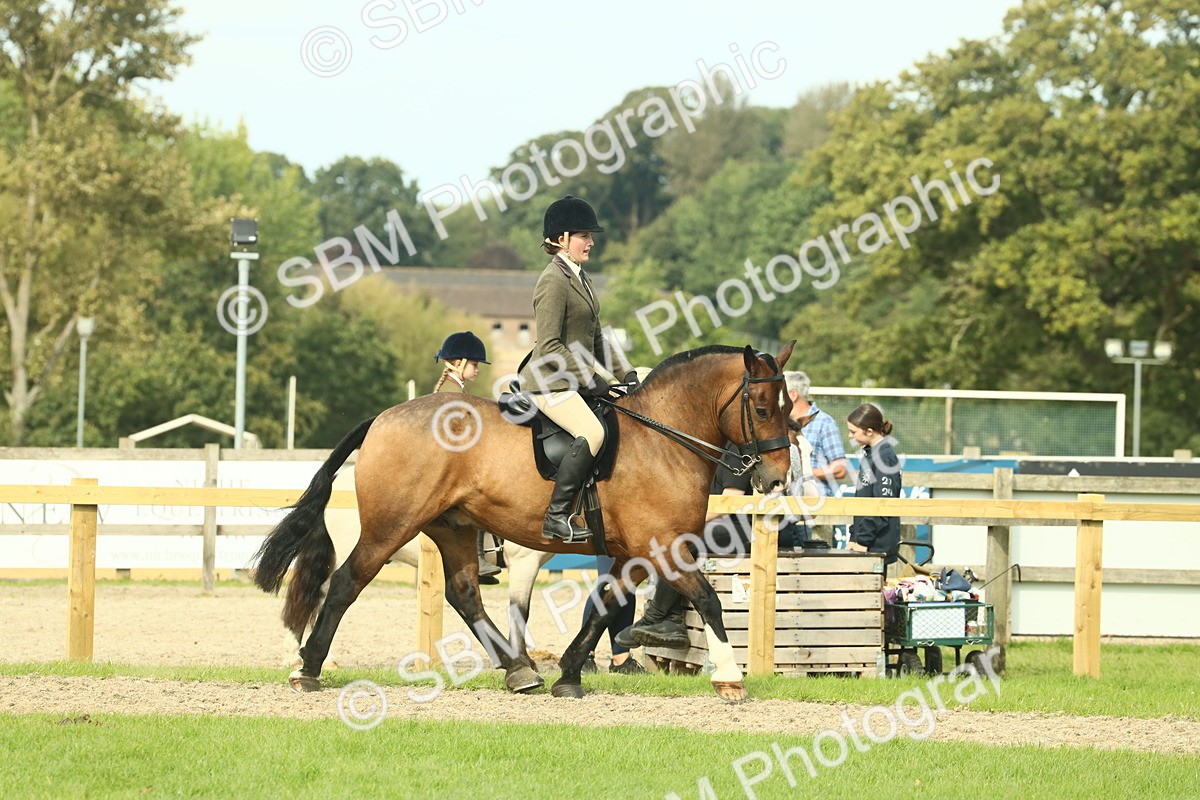 SBM_68194 - S58 - Mini Show Cob Ridden