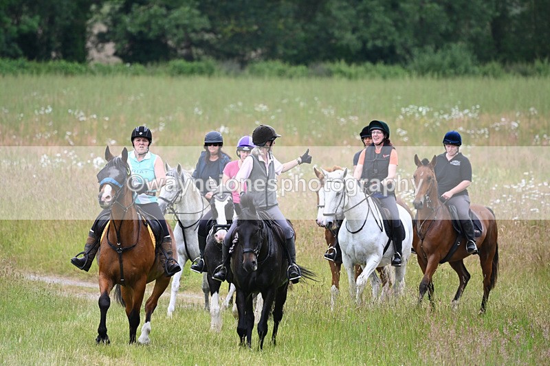 WJ6_8350 - Camera 1 Gallops