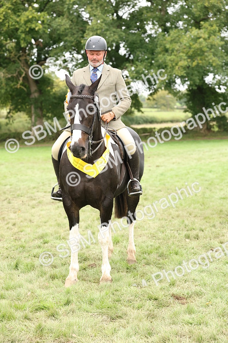SBM_67313 - S67 - Piebald & Skewbald Horse Ridden