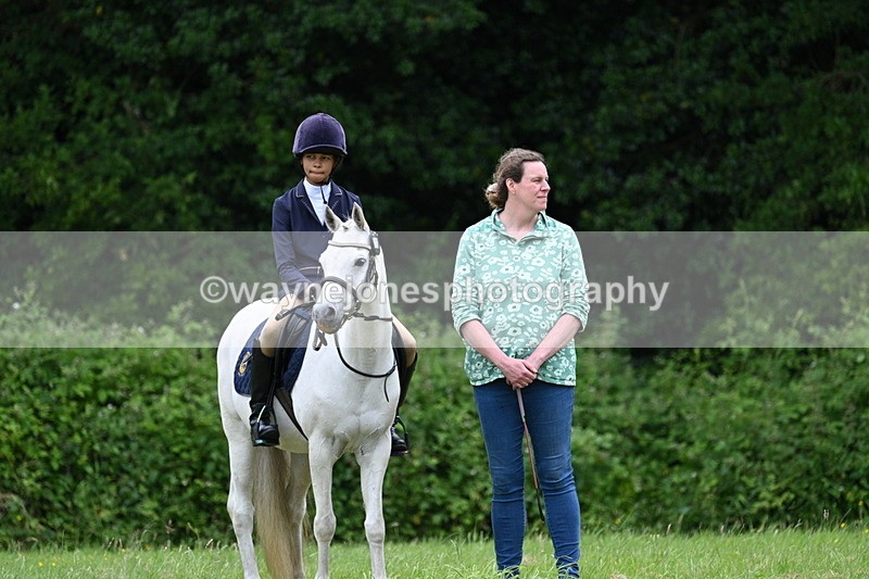 WJ7_4149 - Class 14A Handsome Gelding