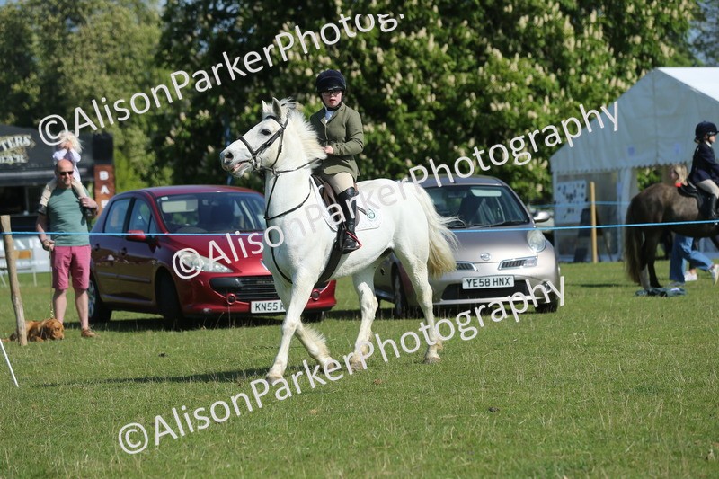 20250427-1133 - Class 1 - Mini Jumping Lead Rein or Assisted