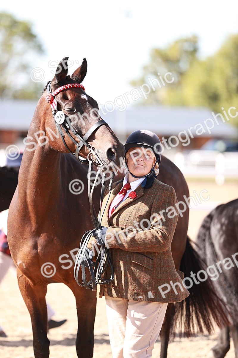 SBM_22822 - Class 705 - IH Combination 65+